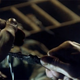 Image for article titled The Evil Within Will Be More About Using Your Brain Than Your Gun